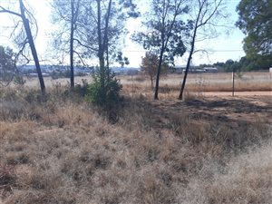 1 ha Land available in Rietvlei View