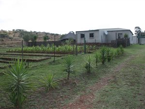 10 ha Farm in Tierpoort