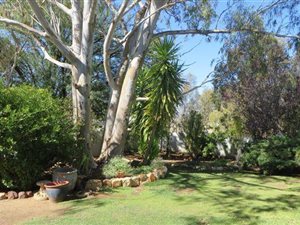 8 Bedroom House in Calvinia
