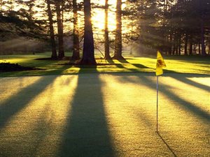 600 m² Land available in Wedgewood Golf Estate