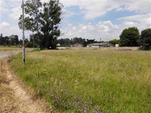2222 m² Land available in Rensburg
