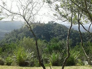 2943 m² Land available in Eastford Downs