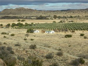 1386 ha Farm in Philippolis