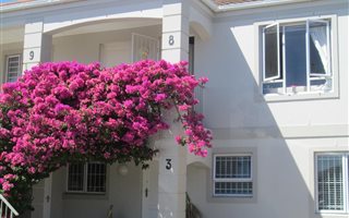 1 Bedroom Flat in Royal Ascot