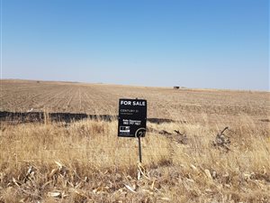 8.5 ha Farm in Vlakplaats
