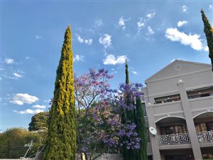 2 Bed Apartment in Riviera