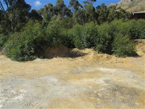 656 m² Land available in Gordons Bay Central
