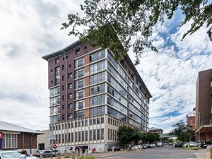 1 Bedroom Apartment in Newtown