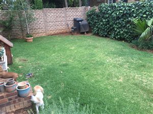 3 Bed Duplex in Van Riebeeck Park