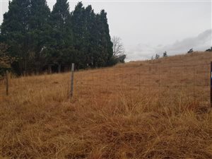 1349 m² Land available in Mooi River