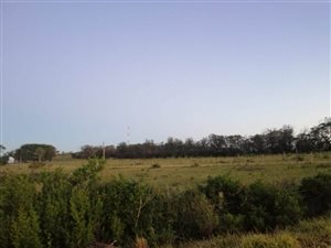 Farm in Kidds Beach