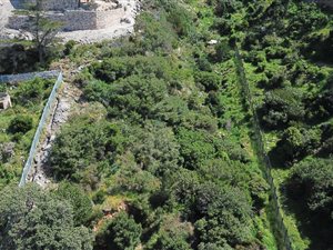 4270 m² Land available in St James