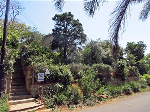 4 Bed House in Rose Hill