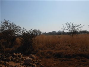 Commercial space in Hazeldean (Silverlakes Surroundings)