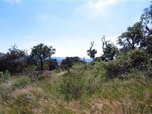 906 m² Land available in Nagina