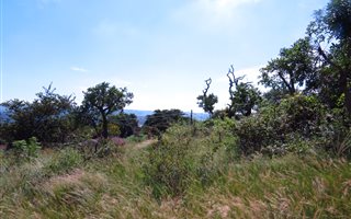 906 m² Land available in Nagina