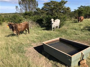 210 ha Farm in Port Alfred