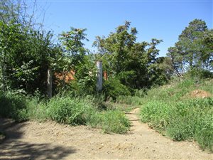 1.1 ha Land available in Estoire