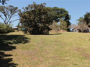 808 m² Land available in Cintsa