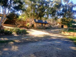138 ha Farm in Bot River
