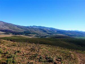 138 ha Farm in Bot River