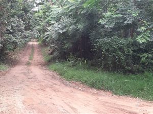 3.4 ha Land available in Melville