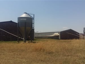 215.3 ha Farm in Lindley