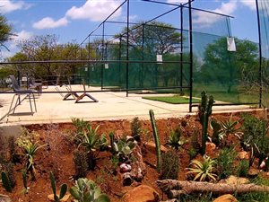 8.5 ha Farm in Palmietfontein