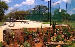 8.5 ha Farm in Palmietfontein