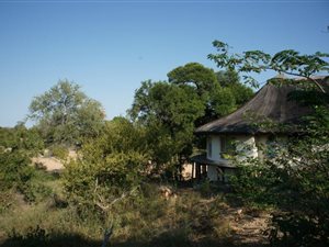 1 ha Farm in Ntsiri Nature Reserve