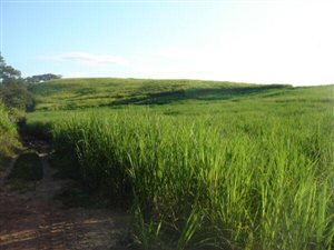 2 ha Land available in Tongaat Central