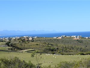 15.5 ha Farm in Piesang Valley