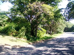 1273 m² Land available in Uvongo