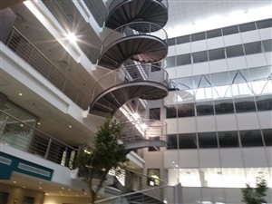 1239 m² Office Space in Sandton CBD