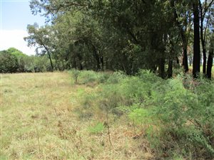 3033 m² Land available in Henley on Klip