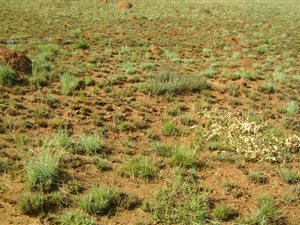 1338 m² Land available in Swartruggens