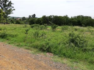 Commercial space in Vaal Marina