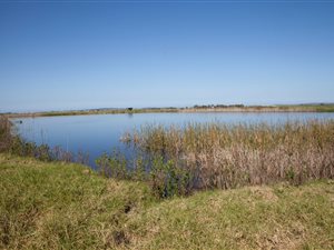 22 ha Farm in George Central