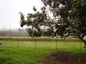 3.1 ha Farm in Bishopstowe