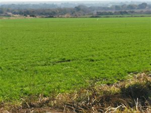 10 ha Land available in Hartbeesfontein