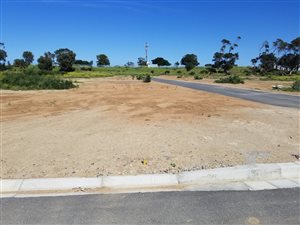 496 m² Land available in Gustrouw
