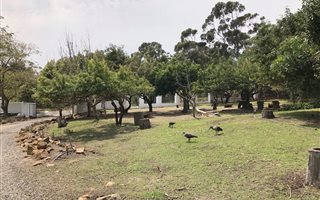 1 Bedroom Apartment in Sir Lowrys Pass