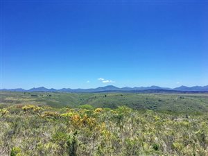300 m² Land available in Gondwana Game Reserve