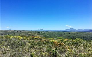 300 m² Land available in Gondwana Game Reserve