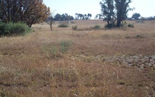 2.1 ha Land available in Rosashof
