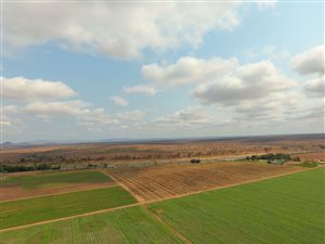168 ha Farm in Malelane