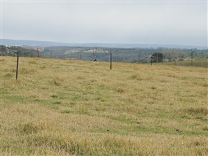 4.4 ha Farm in Great Brak River