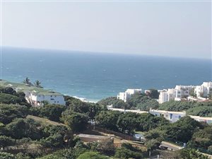 4 Bed Apartment in Willard Beach