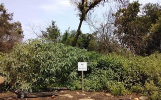 1061 m² Land available in Nelspruit