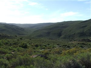 1090 ha Farm in Barrydale